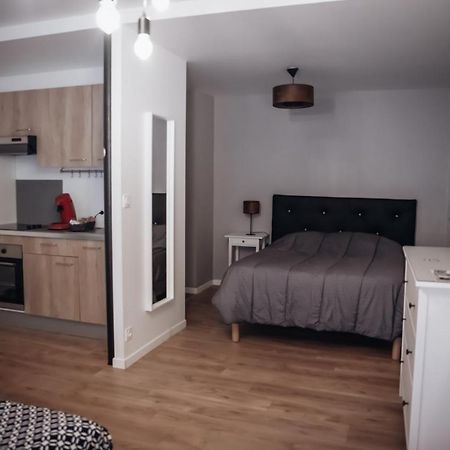 Cosy Et Moderne En Centre Ville, Fibre Haut Debit Ernee Екстер'єр фото